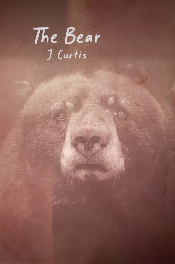 Cover of The Bear by J. Curtis